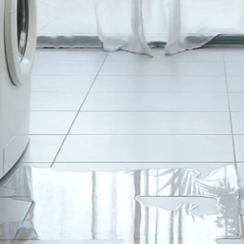 Appliance Leak Cleanup in Sparta, MI