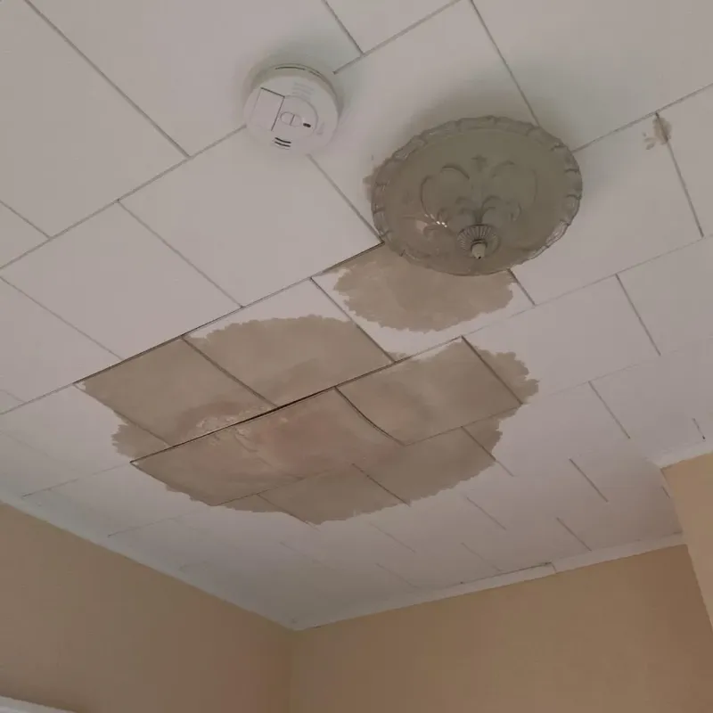 Ceiling Water Damage Repair in Sparta, MI