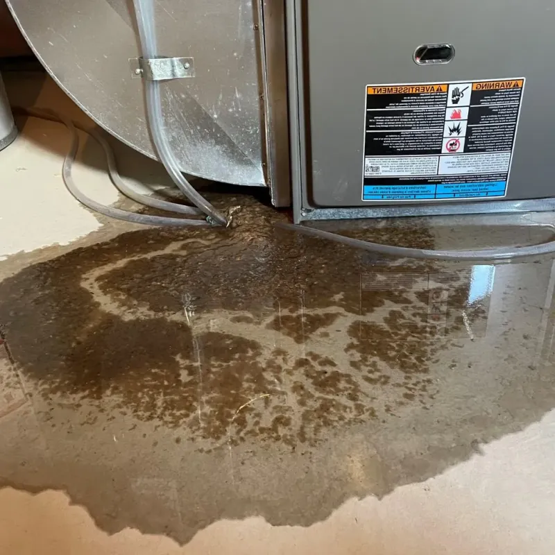 Pipe Burst and Leak Restoration in Sparta, MI
