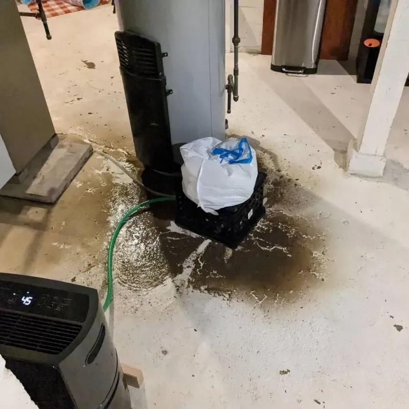 Sewage Backup Cleanup Service in Sparta, MI